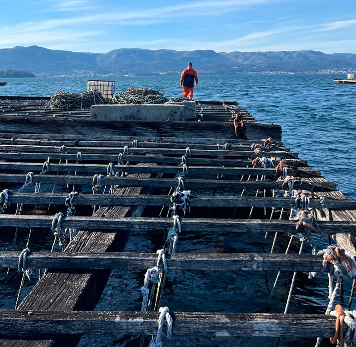 pescaturismogalicia.com Excursions to see mussel crops in the sea in the Islote Areoso from Isla de Arosa