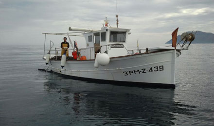 fishingtripmajorca.co.uk boat tours in Majorca with Cap Ferrutx