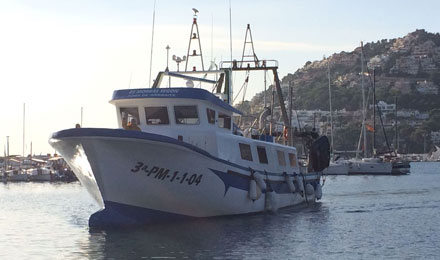 fishingtripmajorca.co.uk boat trips at Majorca with Blai