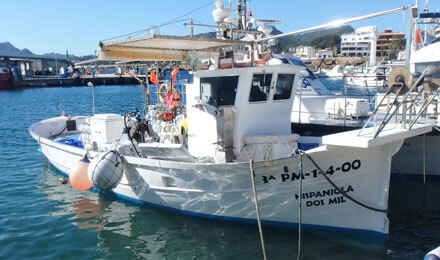 www.fishingtripmajorca.co.uk boat tours in Majorca with Hispaniola