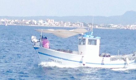 fishingtripmajorca.co.uk boat tours in Majorca with Hermanos Gonzalez
