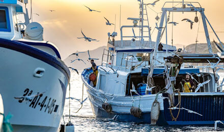 fishingtripspain.co.uk Villajoyosa: Visit to the port
