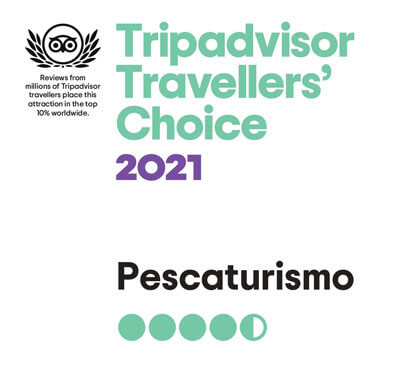Fishingtrip Spain wins the Travellers' Choice of Tripadvisor adward